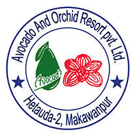 Avocado & Orchid Resort